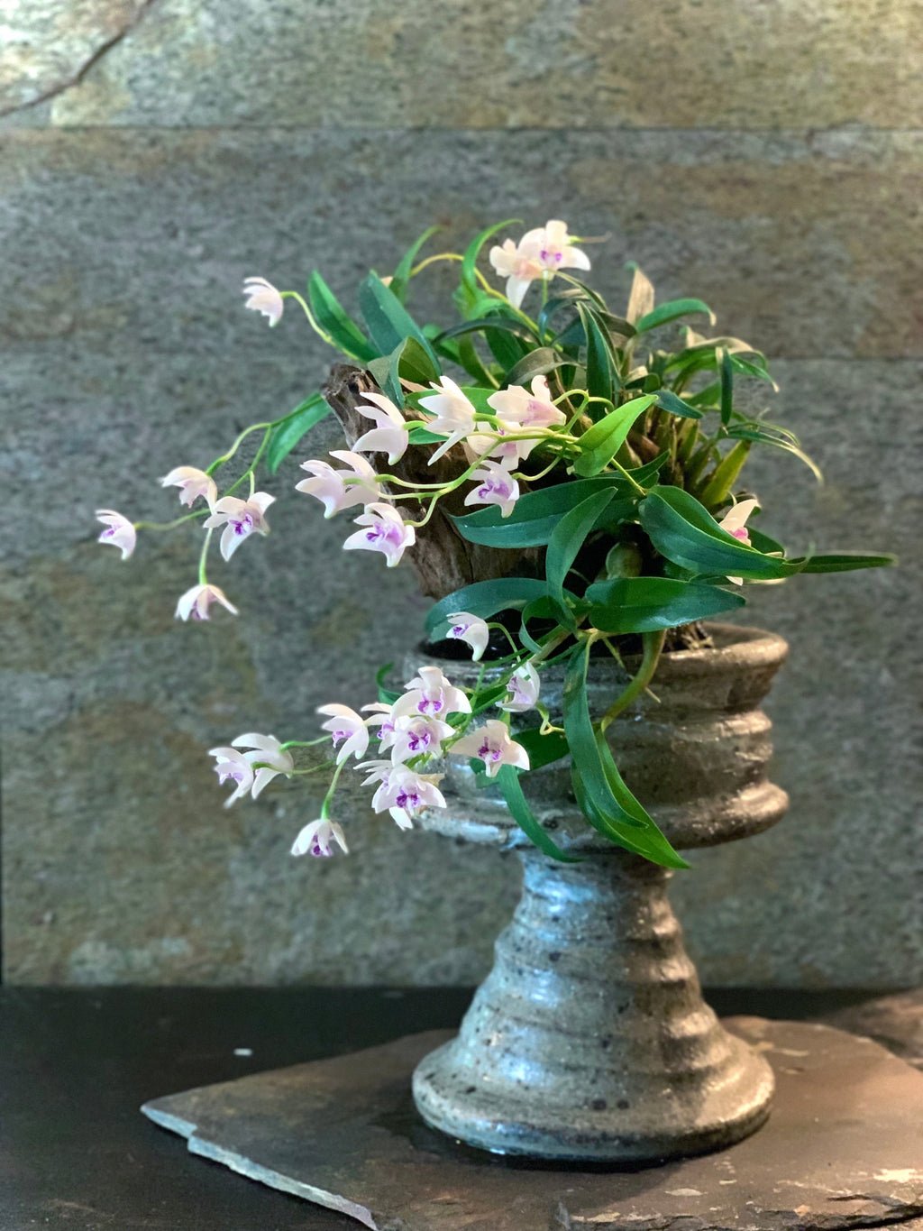 KEICHIKU TARUMI <br>Gallery Shop Open