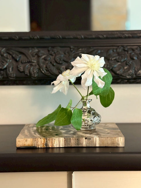 珪化木 敷板 アイボリー