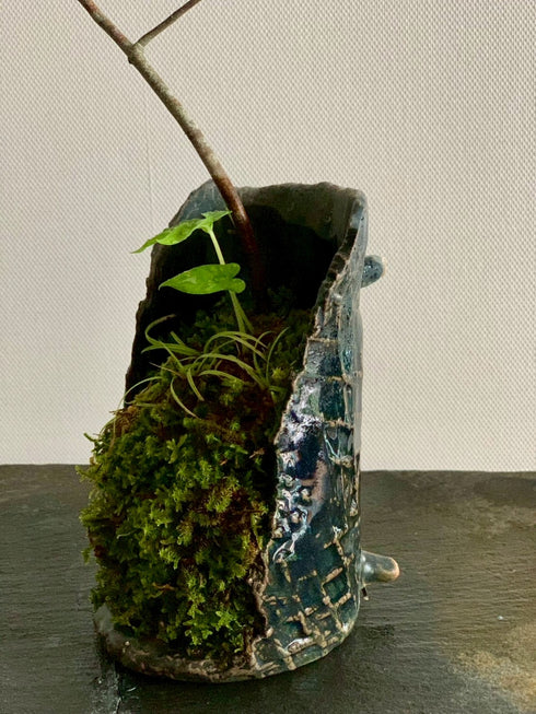 山野草 釣花真弓