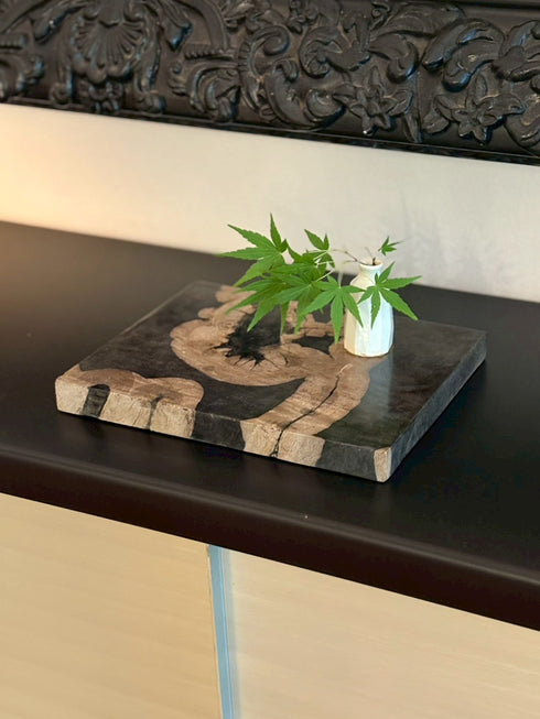 珪化木 敷板 ブラック