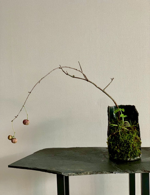 山野草 釣花真弓