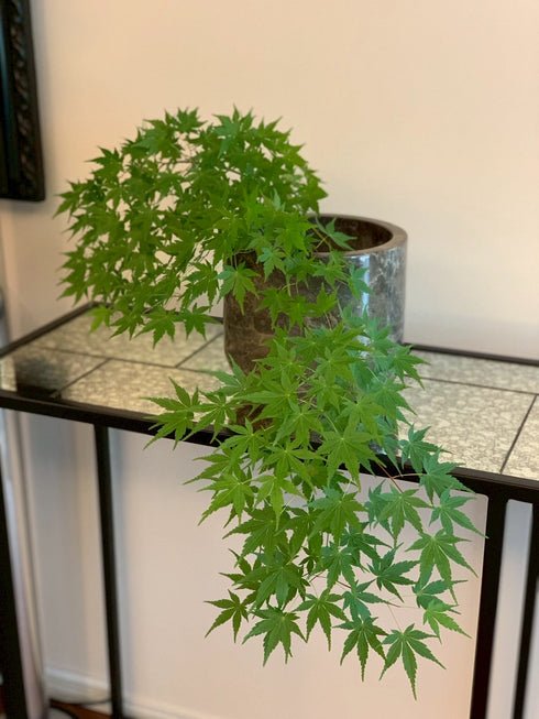 E16F5F68-6FD6-4499-948F-A567CDD3B75F.JPEG__PID:9e1165d4-b5b8-4d47-8c35-4f9b4b16f41a