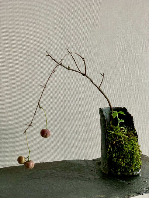 山野草 釣花真弓