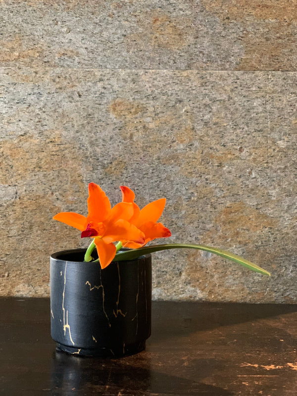 金彩(4個セット)ブラック