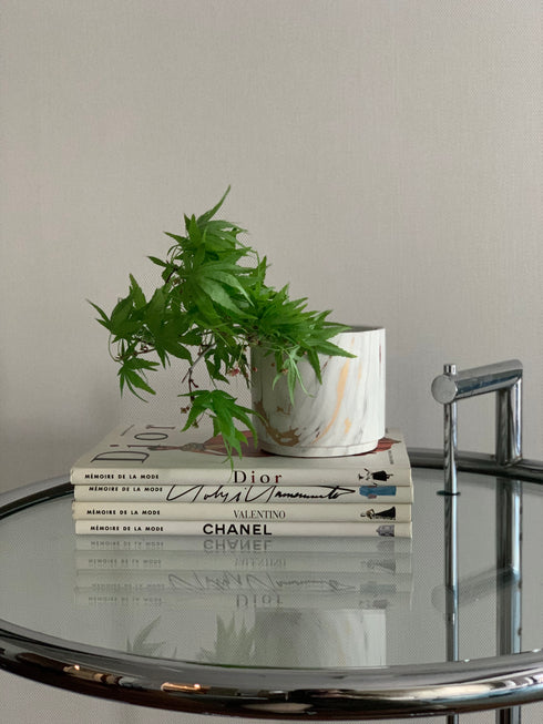 金彩(4個セット)ホワイト