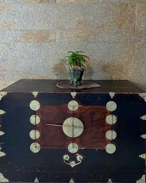 富貴蘭(フウキラン)大波爪覆