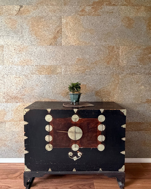 富貴蘭(フウキラン)芙蓉②