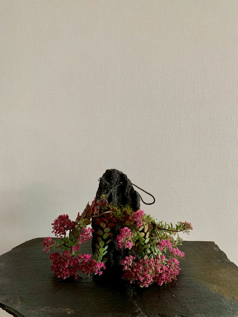 山野草 日高ミセバヤ