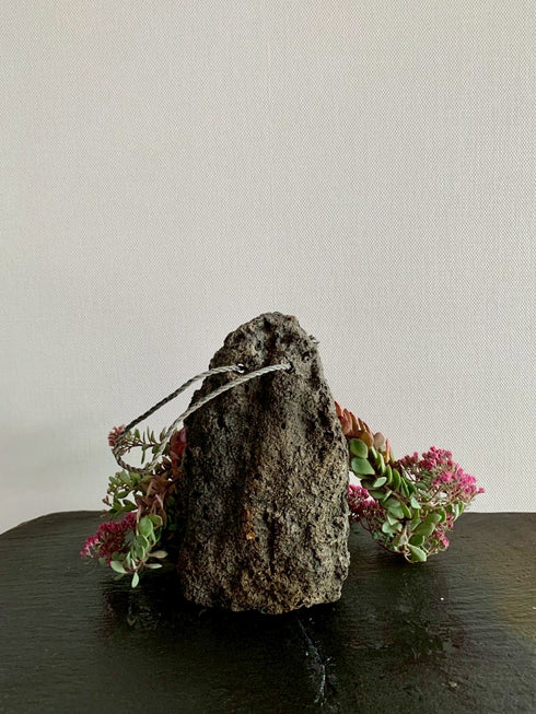 山野草 日高ミセバヤ