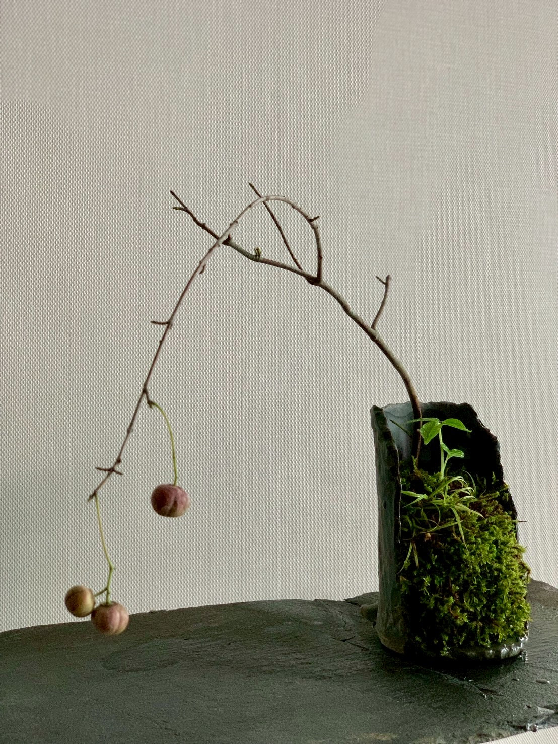 山野草　釣花真弓